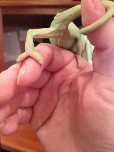 photo 3 (2) [640x480].JPG