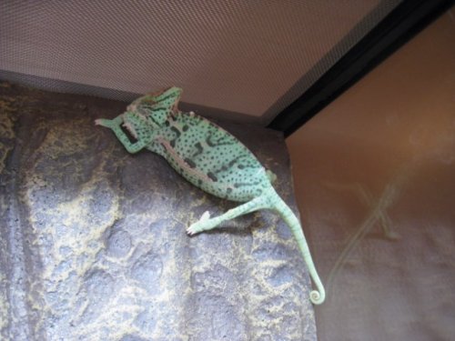 IMG_3391 [640x480].JPG