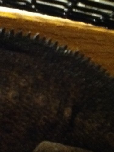 ImageUploadedByTapatalk1367458736.298780.jpg