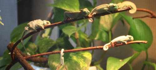 IMG_0895.jpg
