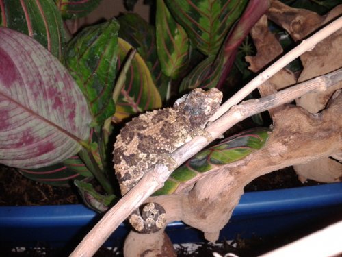 2013-05-10 20.58.00.jpg