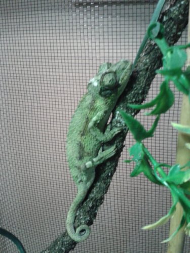 2013-05-11 14.31.02.jpg