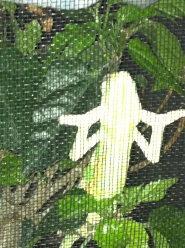 2013-05-07 21.56.27.jpg