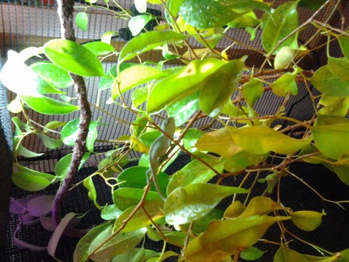 20130515_170759.jpg