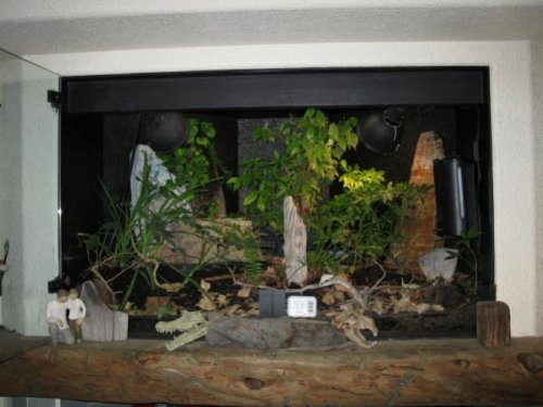 Pigmy Paradise0001.jpg