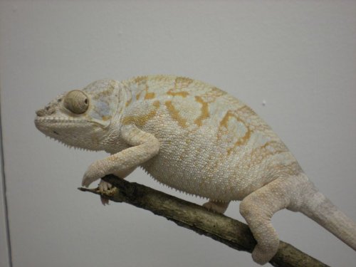 DSCN0562 [1024x768].JPG