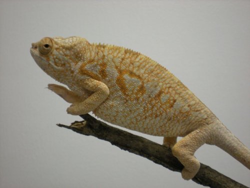 DSCN0566 [1024x768].JPG