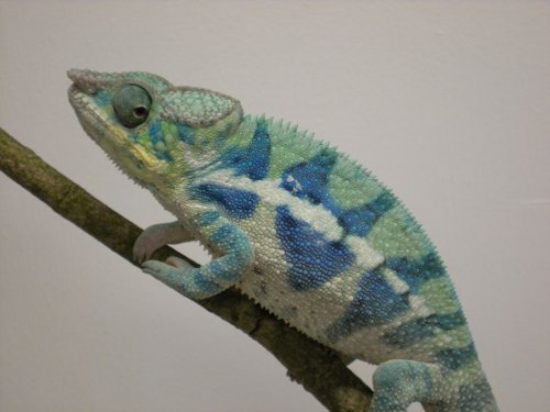 DSCN0547 [1024x768].JPG