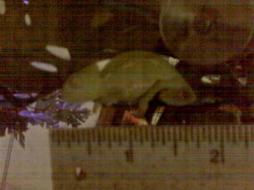IMG00052.jpg