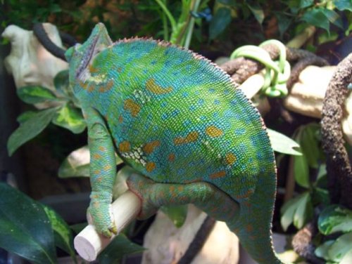 Colours 150309.JPG