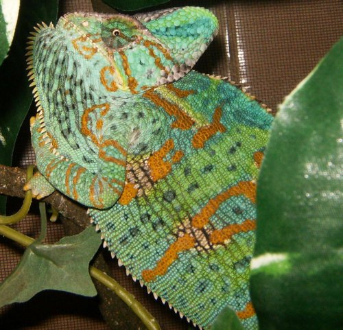 047.jpg