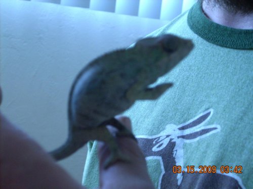 Picture 092.jpg