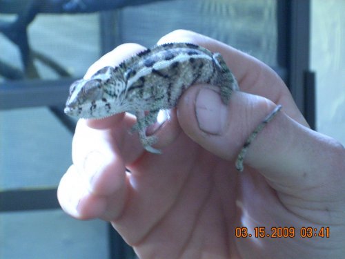 Picture 091.jpg