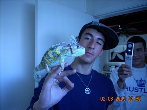 Picture 104.jpg