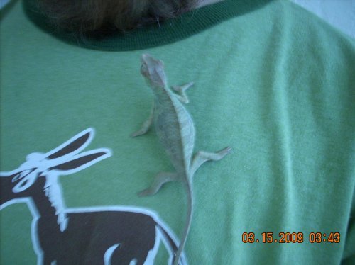 Picture 093.jpg