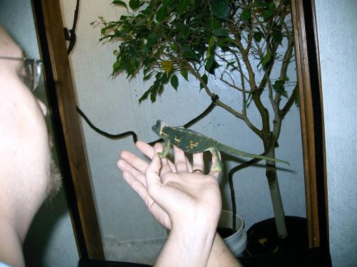 sasha in hand 2.JPG