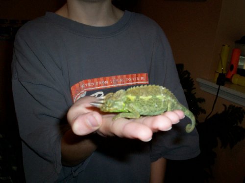 1z Tylers Jacksons0001.jpg