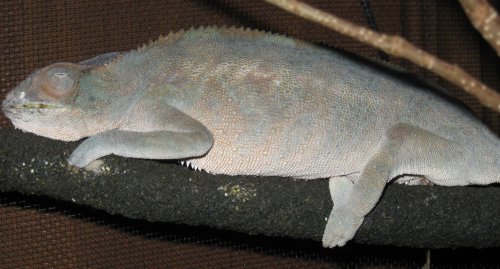 female2.jpg