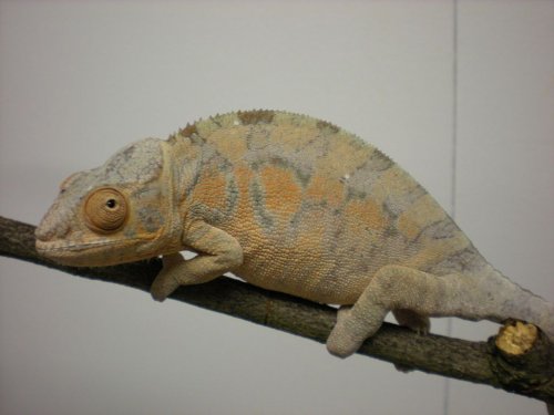 DSCN0632 [1280x768].JPG