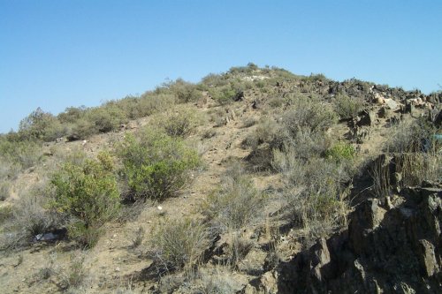 Taif-3.jpg