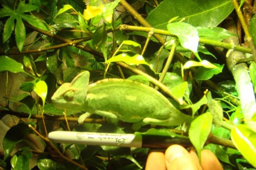 size.JPG
