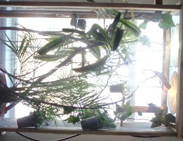 P1010094.JPG