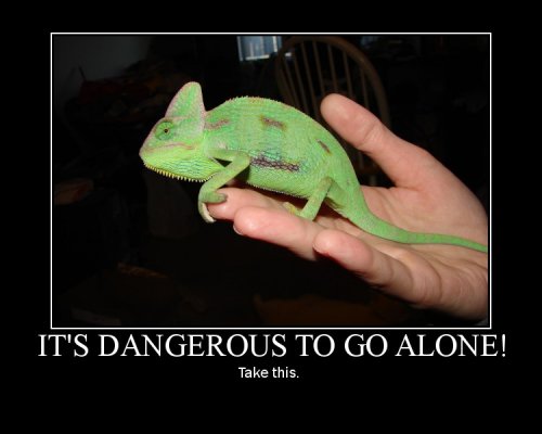 motivator2921845.jpg