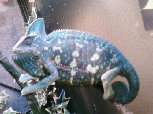 Kayla Phone Pics 125.jpg