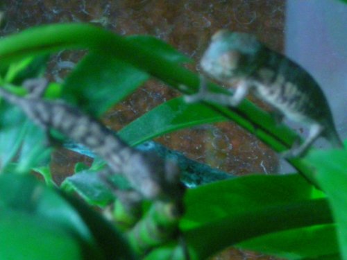 4-4-09 002.jpg
