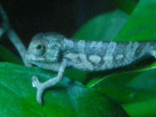 4-4-09 003.jpg