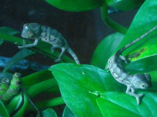 4-4-09 004.jpg