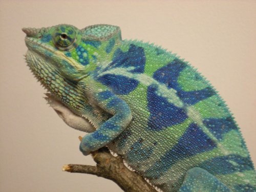 DSCN0719 [1280x768].JPG