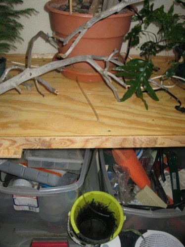 Automatic Dripper0001_7.jpg