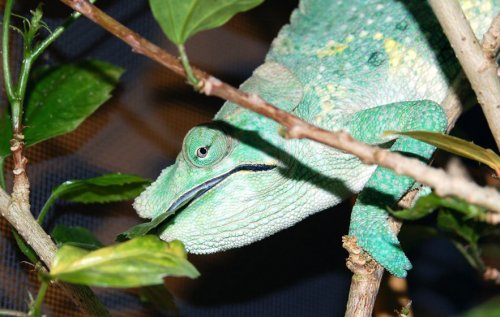 DSC_2806.jpg