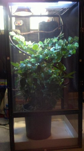 2013-05-16_12-03-32_210.jpg