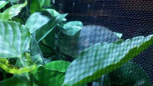 2013-05-16_22-05-17_562.jpg