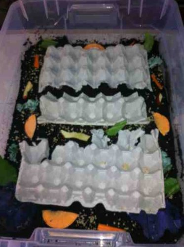ImageUploadedByTapatalk1368840821.656938.jpg ImageUploadedByTapatalk1368840821.656938.jpg