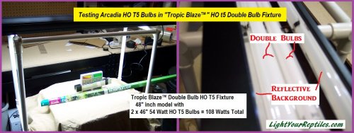 arcadia ho t5 1 test LYR.jpg