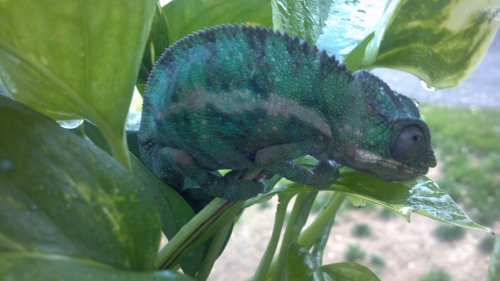 2013-05-21_15-15-44_263.jpg