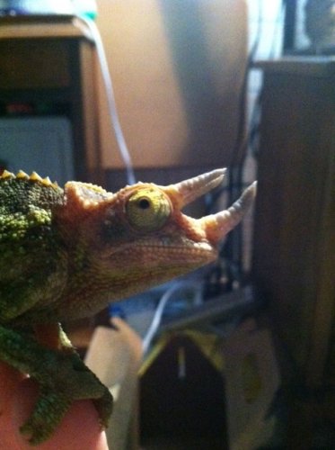 securedownload (2).jpg