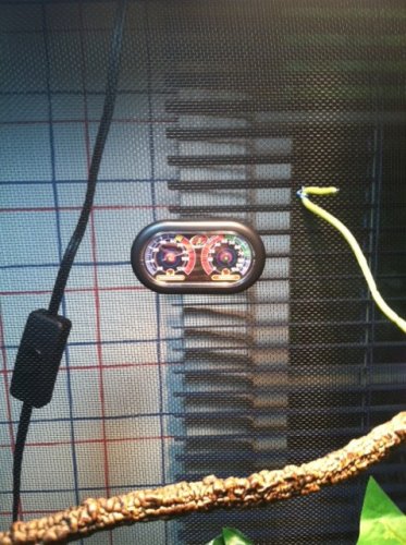 securedownload (3).jpg