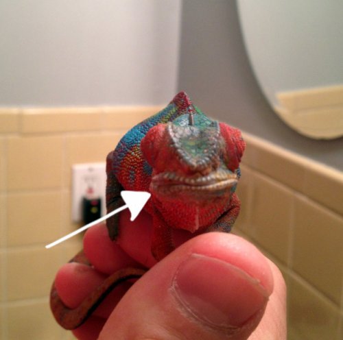 assymetry of face.JPG