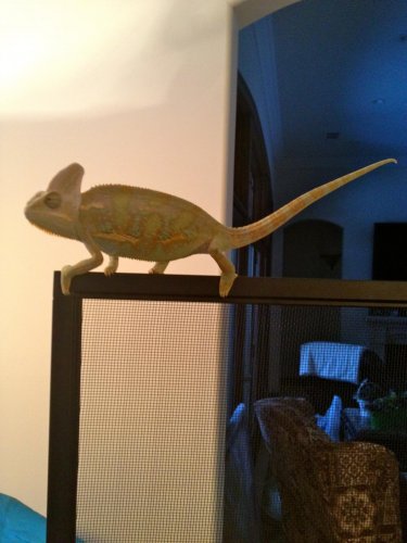 IMG_0917.jpg IMG_0917.jpg