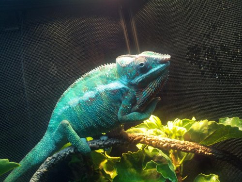 2013-05-29 10.23.50.jpg