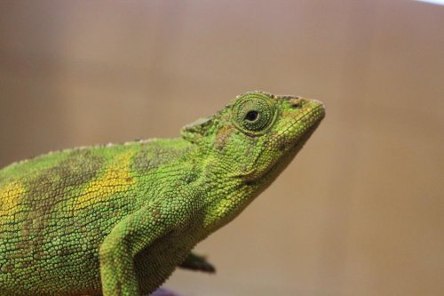 IMG_9586.jpg