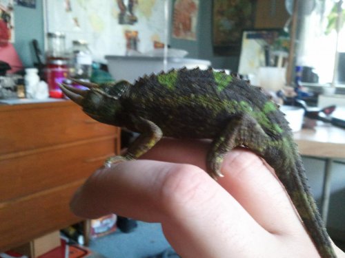 2013-04-09 10.59.19.jpg