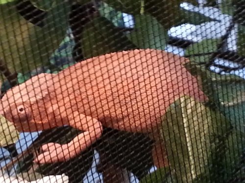 20130531_162837 (1).jpg