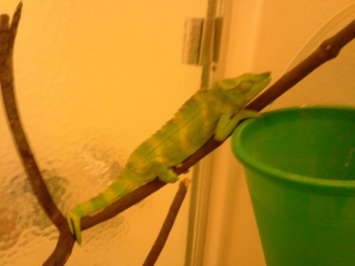 Mitchell in Bathroom.jpg