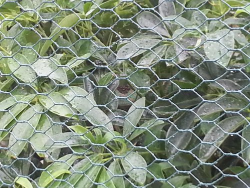 20130607_130827.jpg