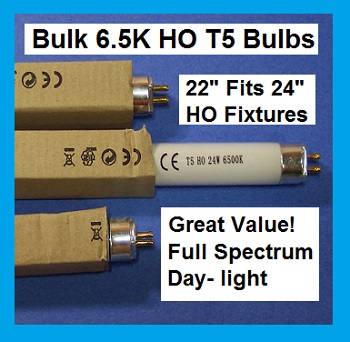 t5 bulb 22 24.jpg